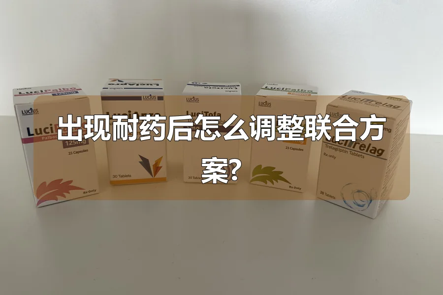 出现耐药后怎么调整联合方案?